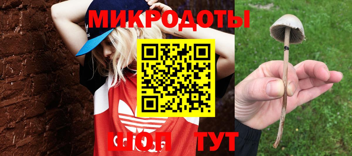 Галлюциногенные грибы Cubensis  Вход с VPN  Псилоцибиновые грибы мицелий  Электросталь 